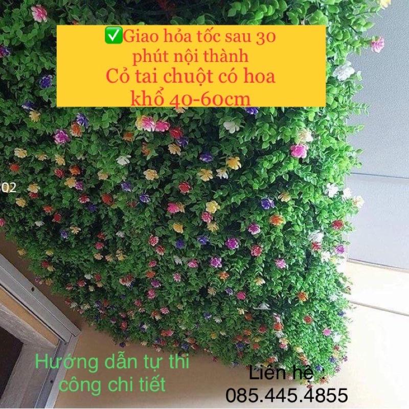 cỏ nhân tạo treo tường tai chuột có hoa khổ 40-60cm màu xanh non