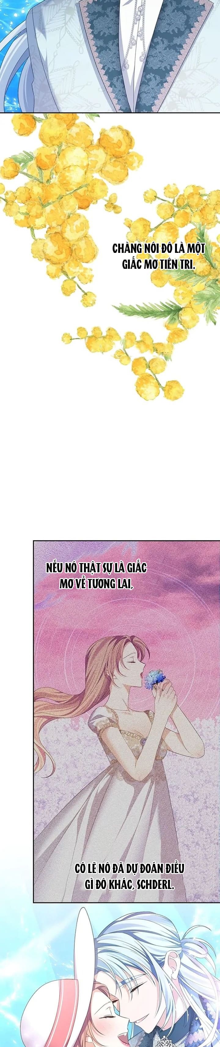 aster yêu dấu của tôi chapter 57 35