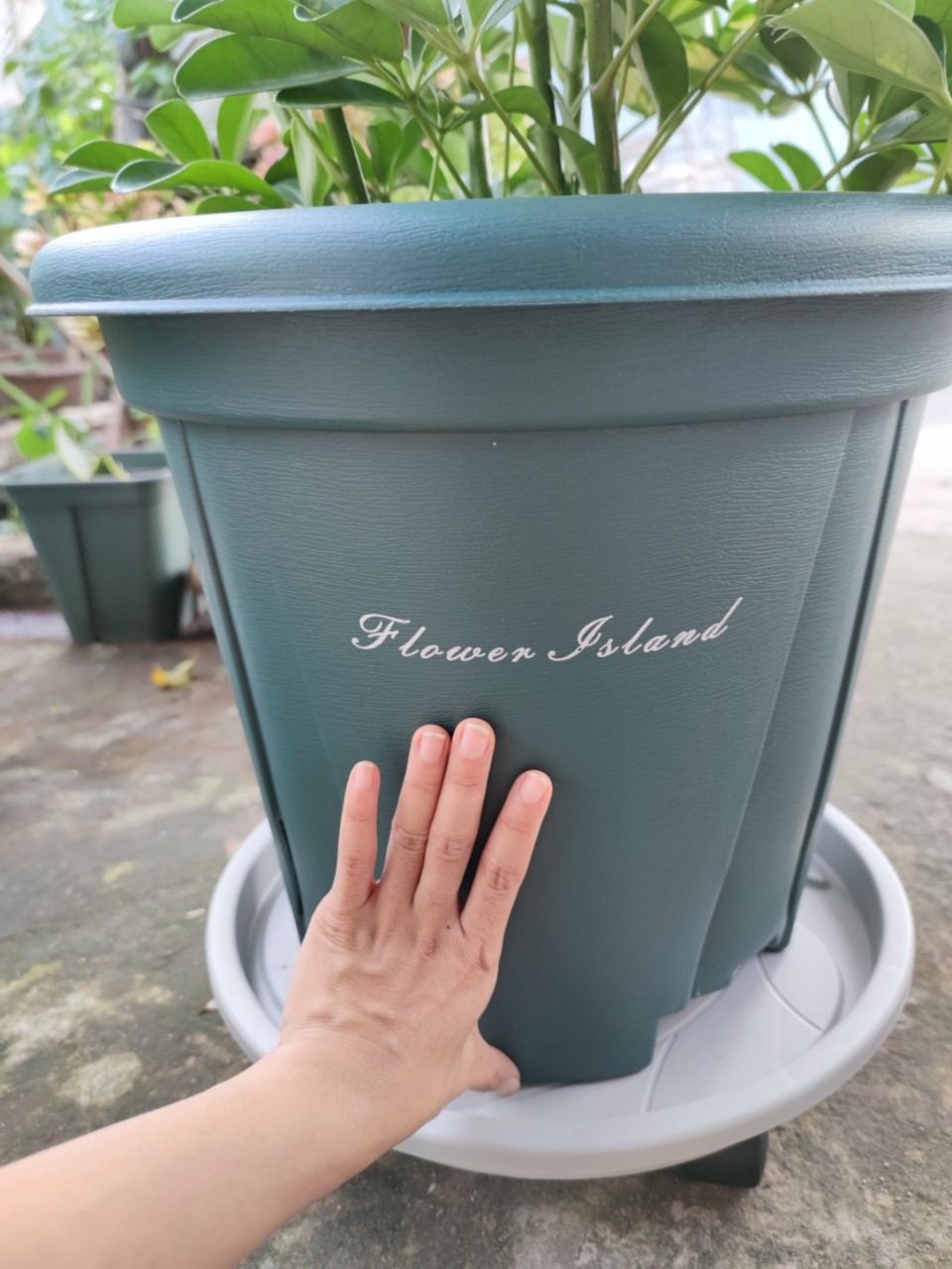 Bộ gồm chậu cao cấp Flower Island + Đế lót chậu bánh lăn có khay hứng nước thông minh