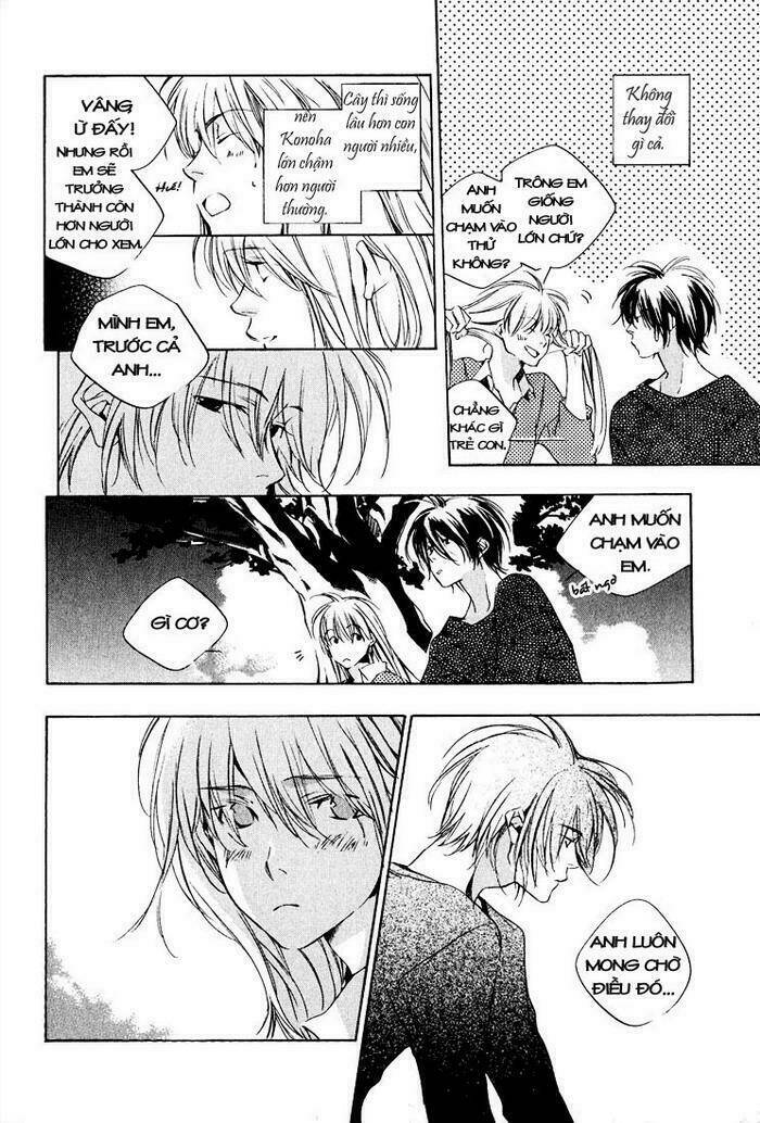 kon no ki konoha leaves of the deep blue tree chapter 1 27