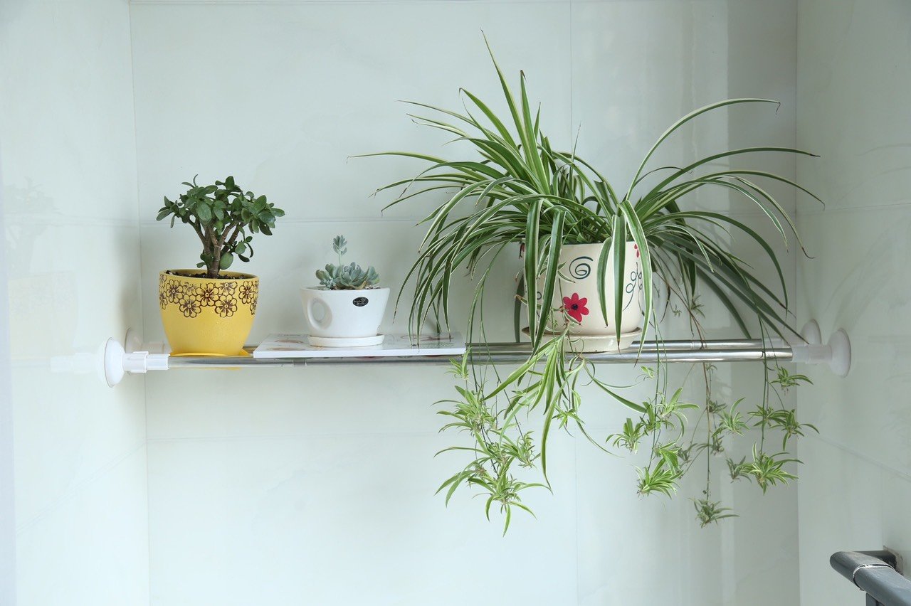 Thanh treo rèm cửa inox không cần khoan tường hay bắt vít kích thước 50cm - 80cm TP0162