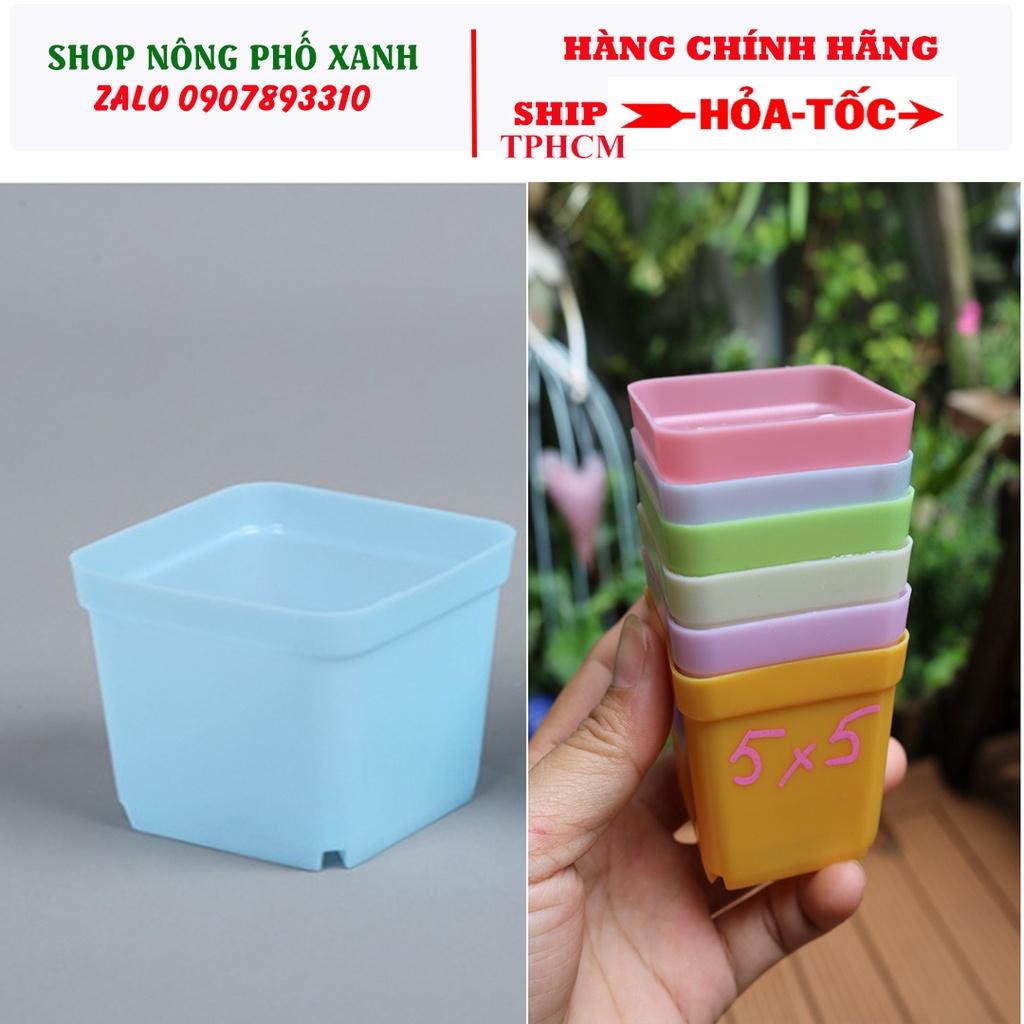 10 chậu nhựa PP vuông mini trồng sen đá bonsai xương rồng có 7 màu chọn size 5X5cm