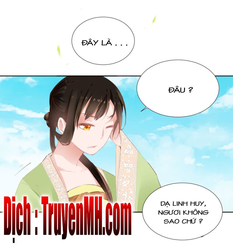 solo đi vương gia chapter 31 3
