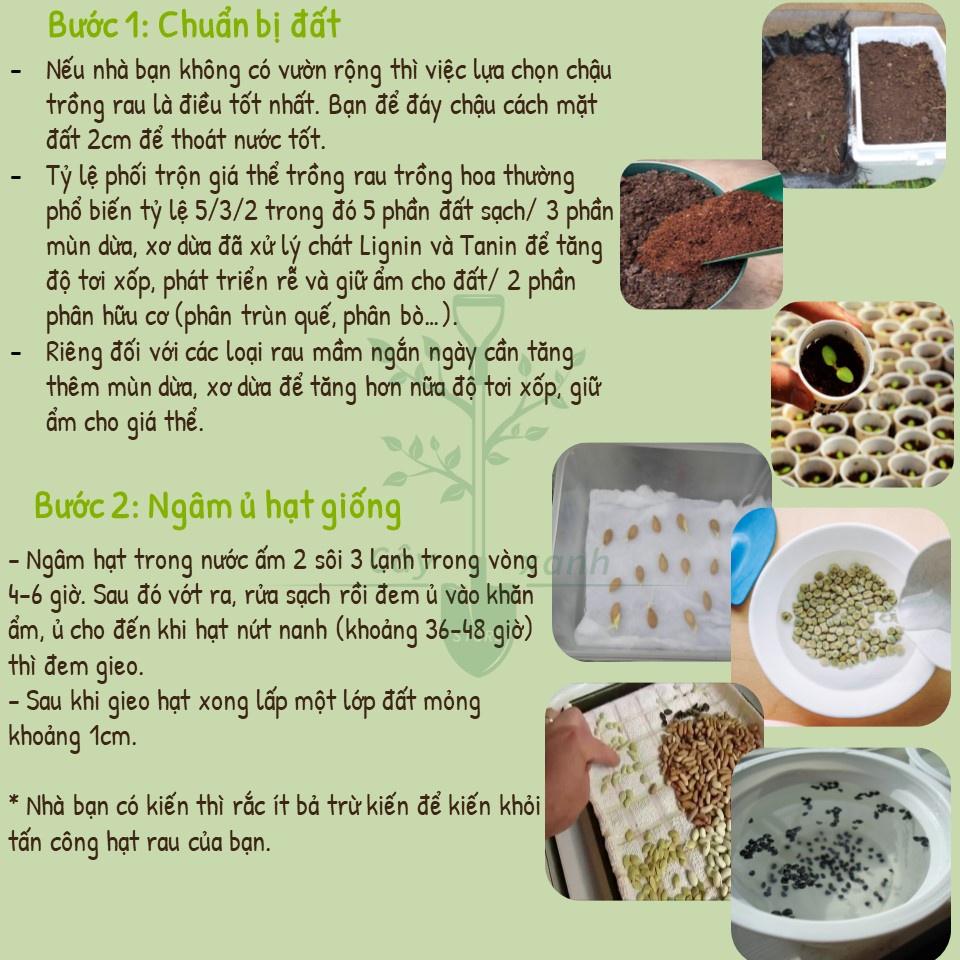 Hạt Giống Mướp Hương F1 - Phú Nông Seeds