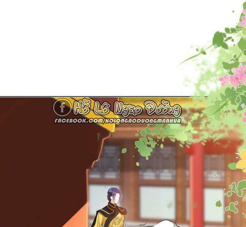 quận chúa vững vàng, thiết lập nhân vật không thể vỡ chapter 27 5