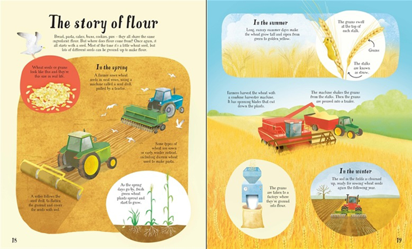 Sách tiếng Anh - Usborne It all starts with a seed… how food grows