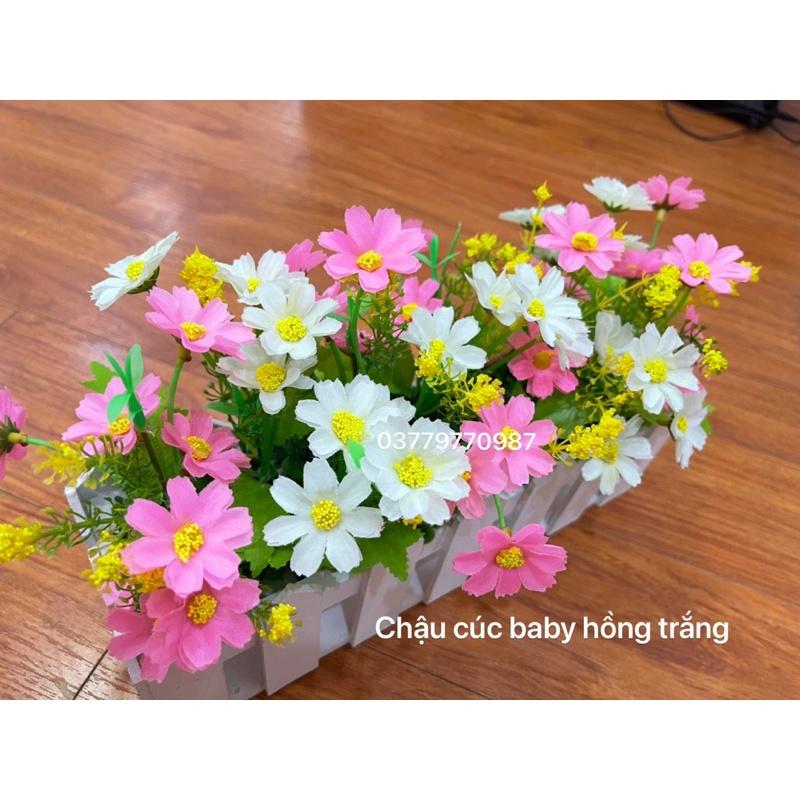 Chậu hàng rào gỗ cắm sẵn hoa decor