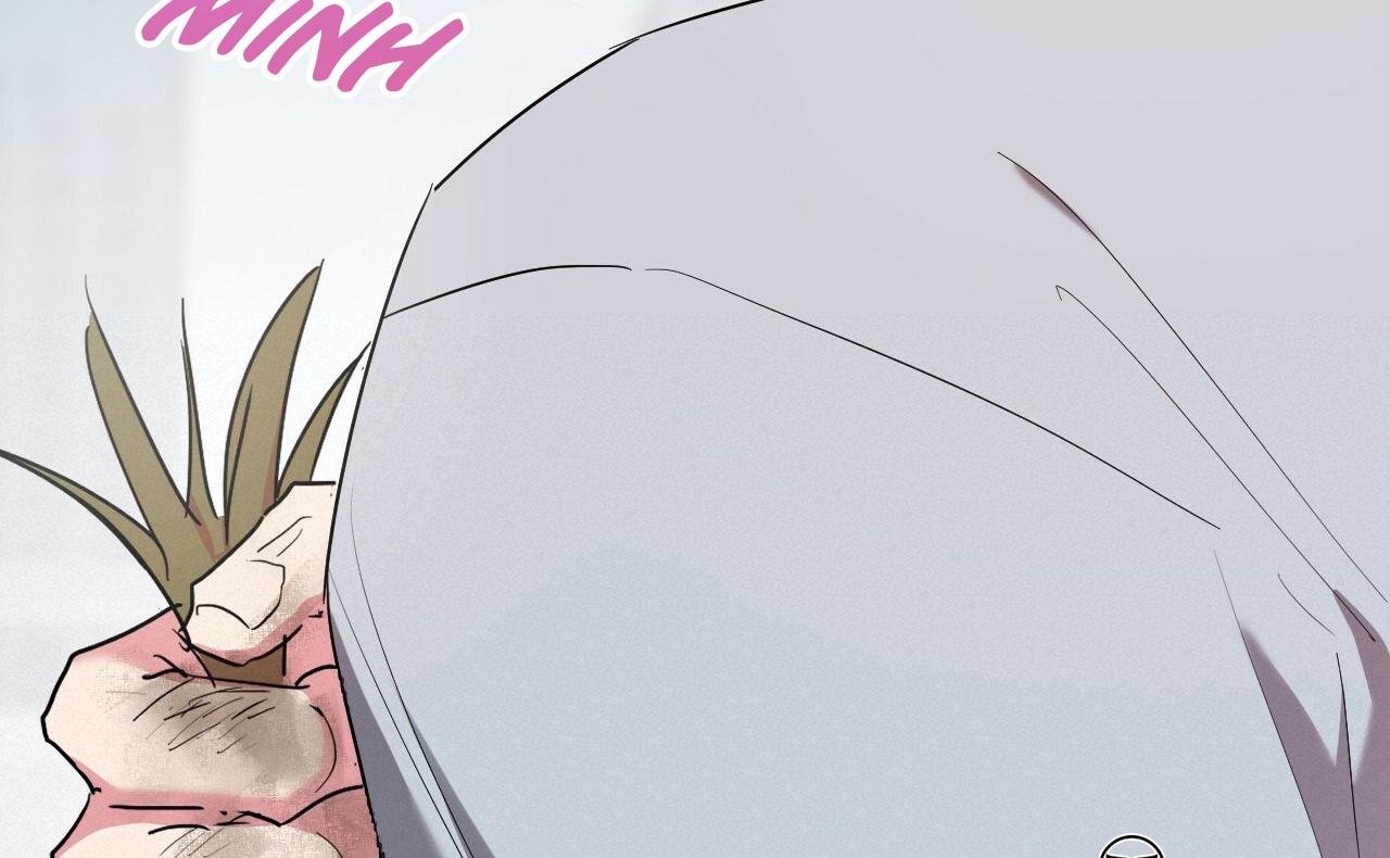 đàn thỏ của habibi chapter 16 68