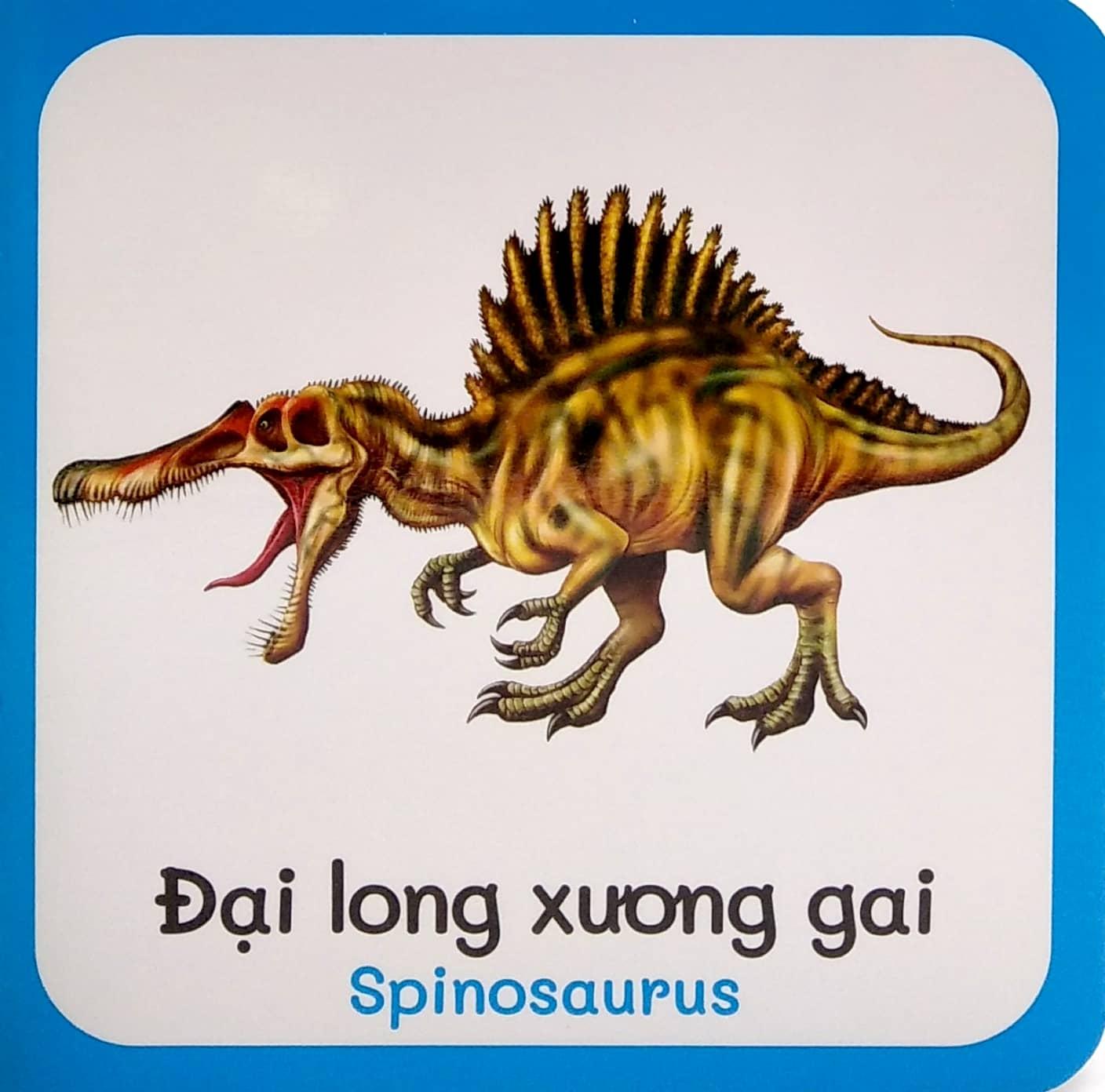 Từ Điển Bằng Hình Đầu Tiên Của Bé - Baby'S First Picture Dictionary - Dinosaurs - Khủng Long