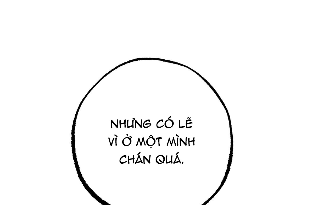 đàn thỏ của habibi chapter 19 45