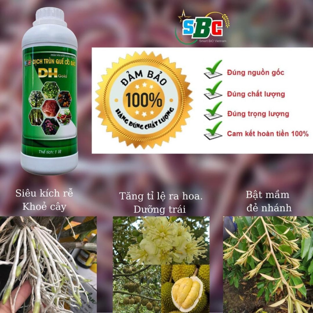 1 Lít - Dịch trùn quế SBC DHgold cô đặc, Đầy đủ đa,trung,vi lượng, đầy đủ chất cho cây -76129