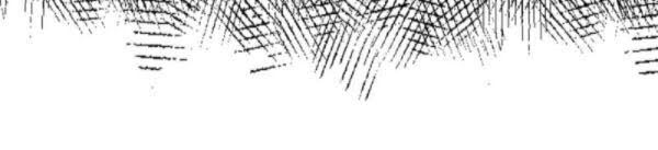 lão tổ của bạn đang online chapter 88 24