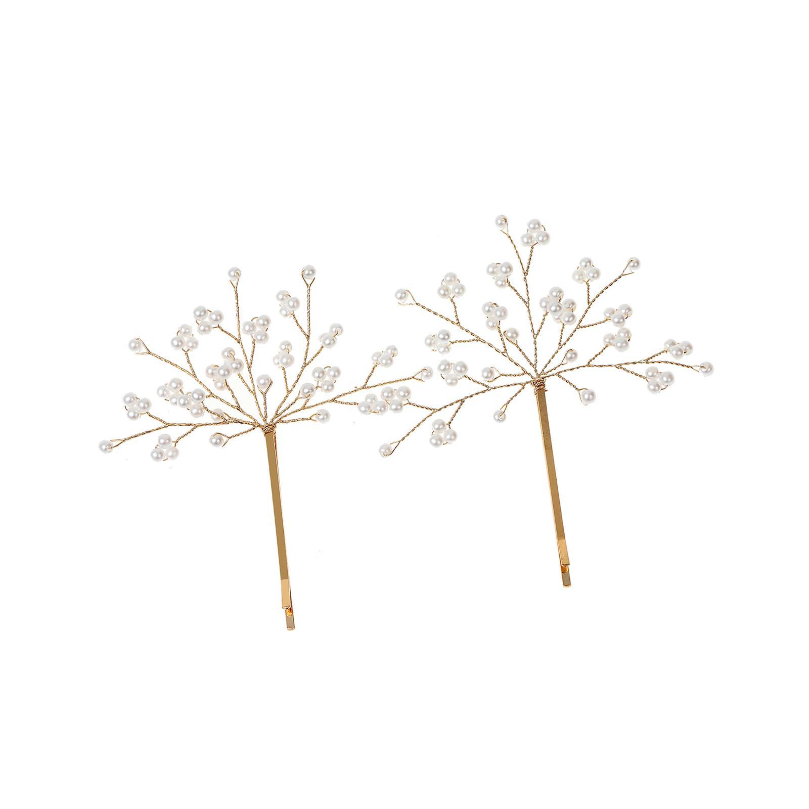 2Pcs Hair Clips Elegant Hair Styling Tool Hair Accessories Snap Hairpins