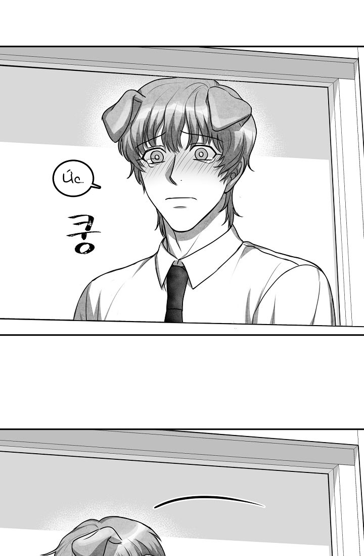 khi cún biết yêu chapter 12 15