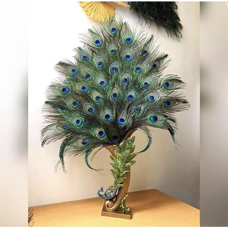 Lông công dài 25-110cm mắt đẹp size vừa, tự nhiên 100% phong thủy tài lộc