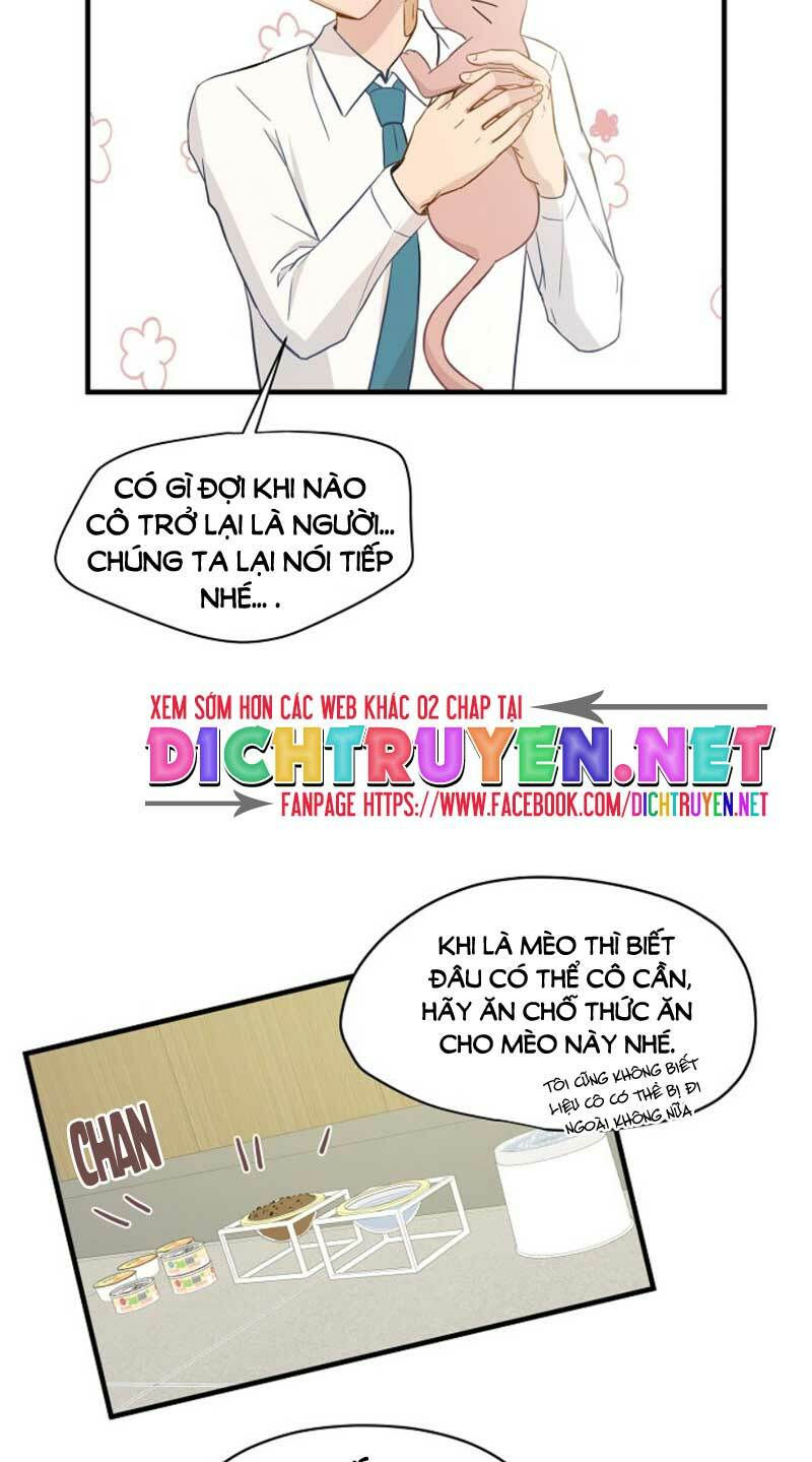 cuộc sống kỳ thú chapter 9 7