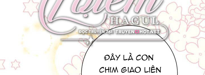 công chúa của loài chim chapter 51.1 219