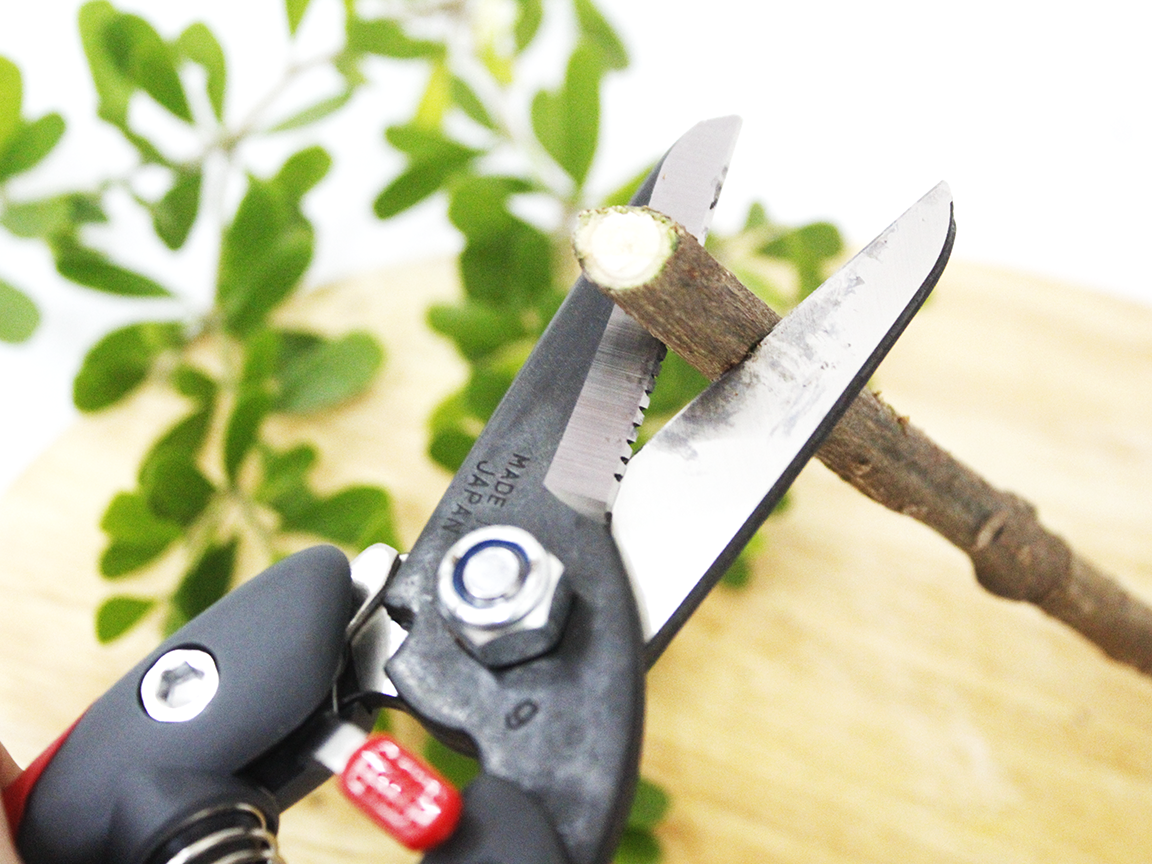 Kéo cắt cành cao cấp Nhật Bản Chikamasa JP-2000 chiều dài lưỡi 45mm - lưỡi thép carbon chất lượng cao siêu bén - cắt ngọt, không bám dính, liền sẹo nhanh