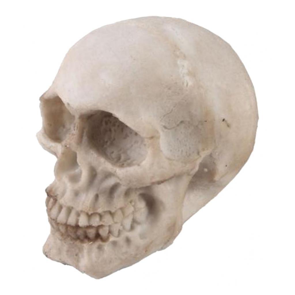 Home Statue Resin Craft for Desktop Decor