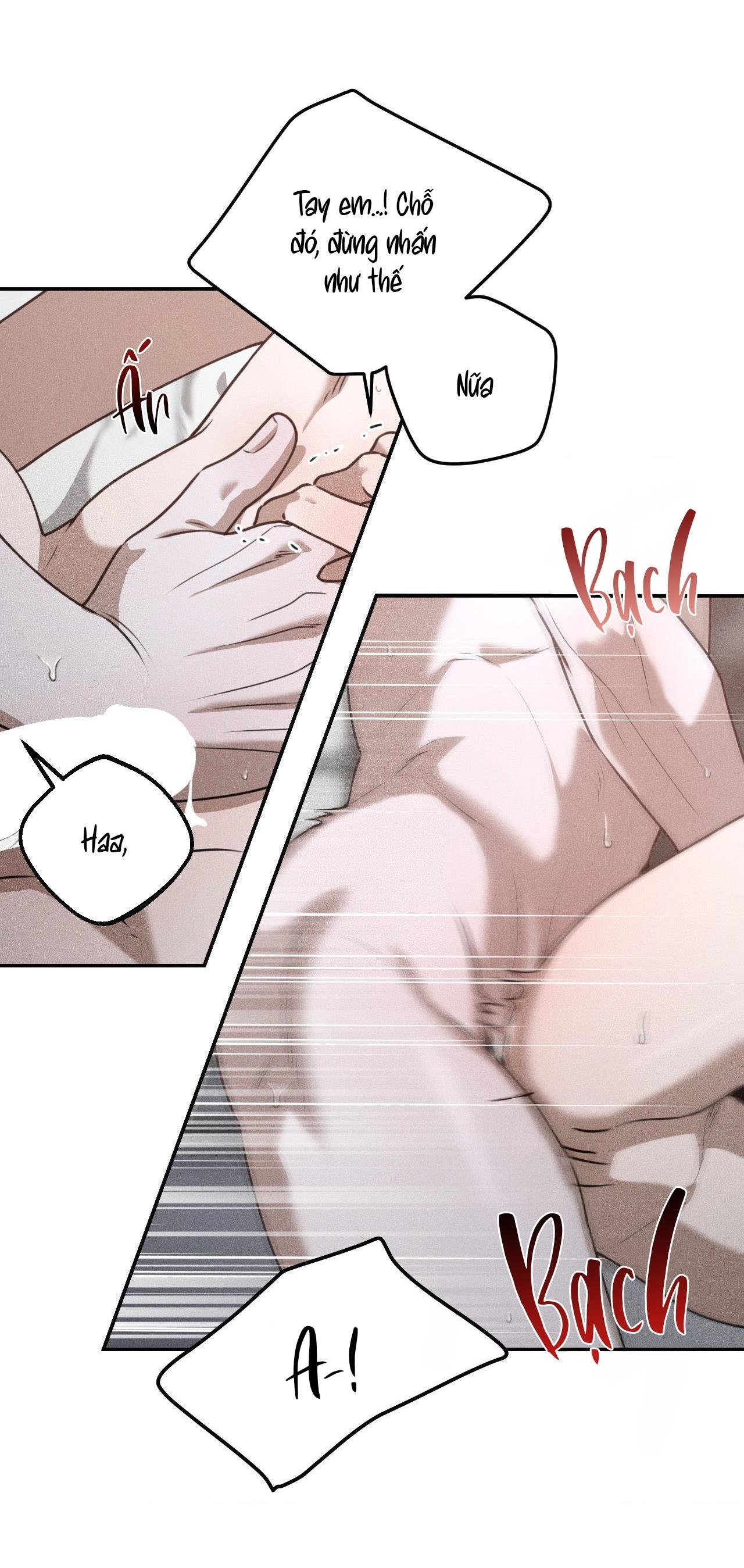 gấu teddy thân yêu chapter 29 32