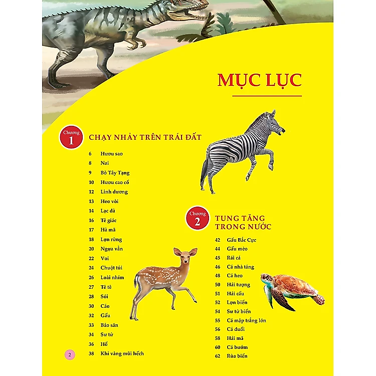 Sách Bách Khoa Toàn Thư Tìm Hiểu Về Trái Đất - ảnh 3