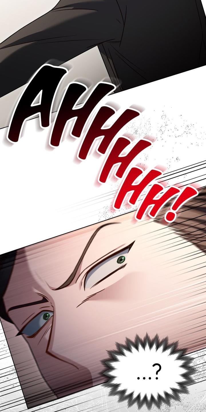 kẻ nghiệp dư chapter 49.2 21