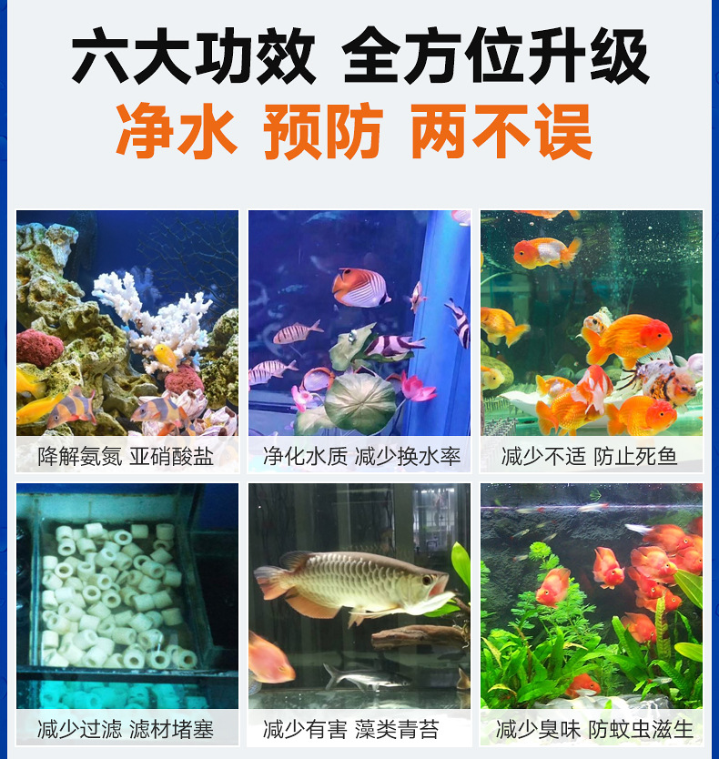Vi sinh Biozym N1 xử lý độc tố và làm trong nước bể thủy sinh - vi sinh cho hồ cá cảnh - bể thủy sinh