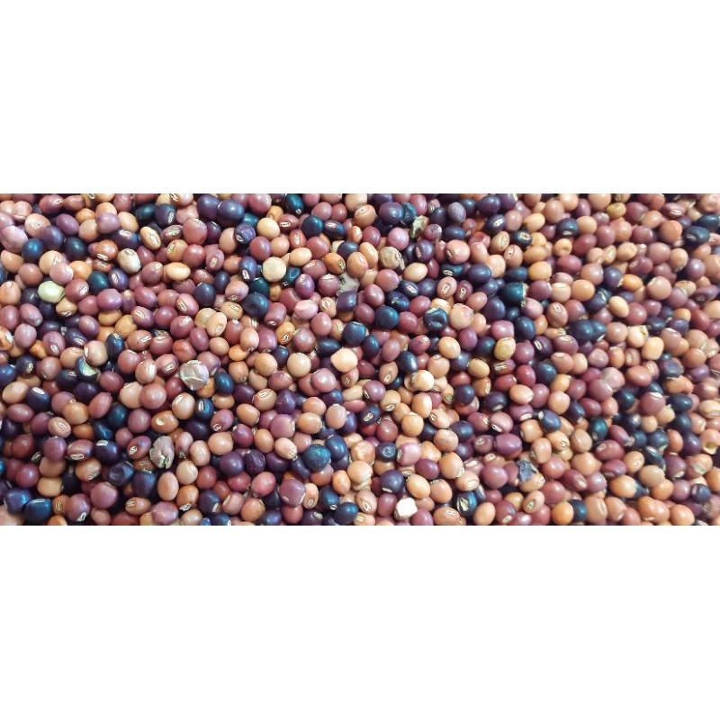 500 gram hạt đậu săng