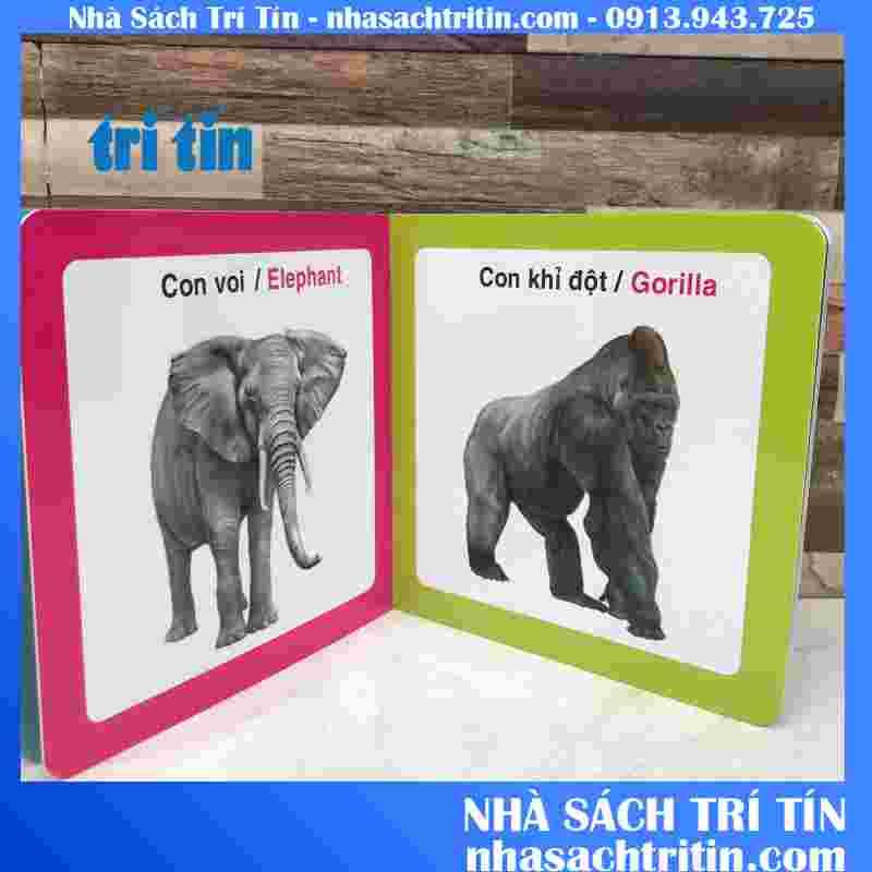 TRanh ĐỘNG VẬT HOANG DÃ