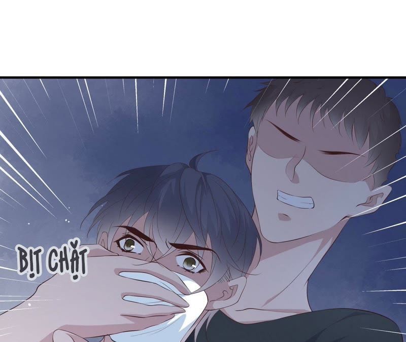 chiến lược lãng mạn của thịnh thiếu chapter 73 49