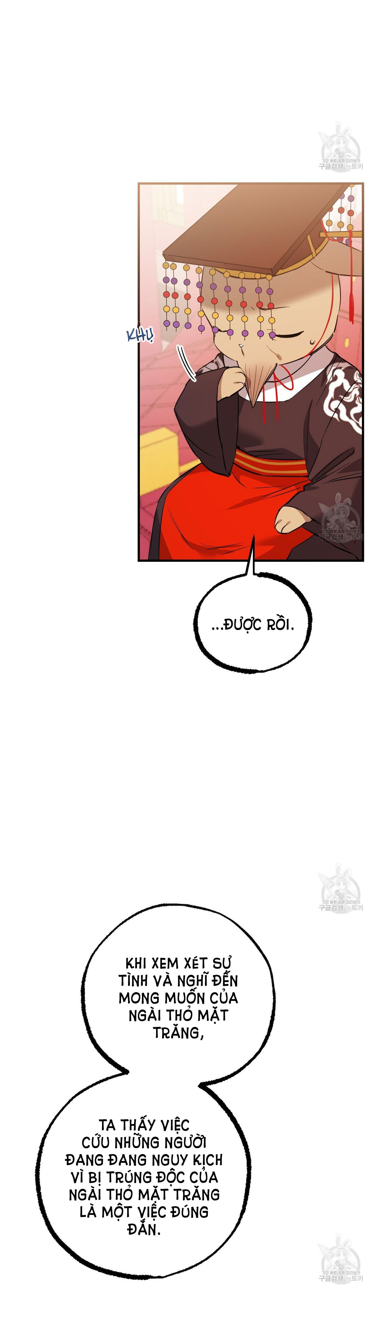 những chú thỏ của hapypy chapter 62.2 11