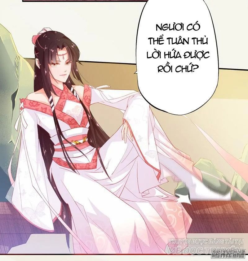 tuyệt thế luyện đan sư chapter 7 21