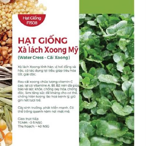 Hạt Giống Xà Lách Xoong 810AQ (1gr)