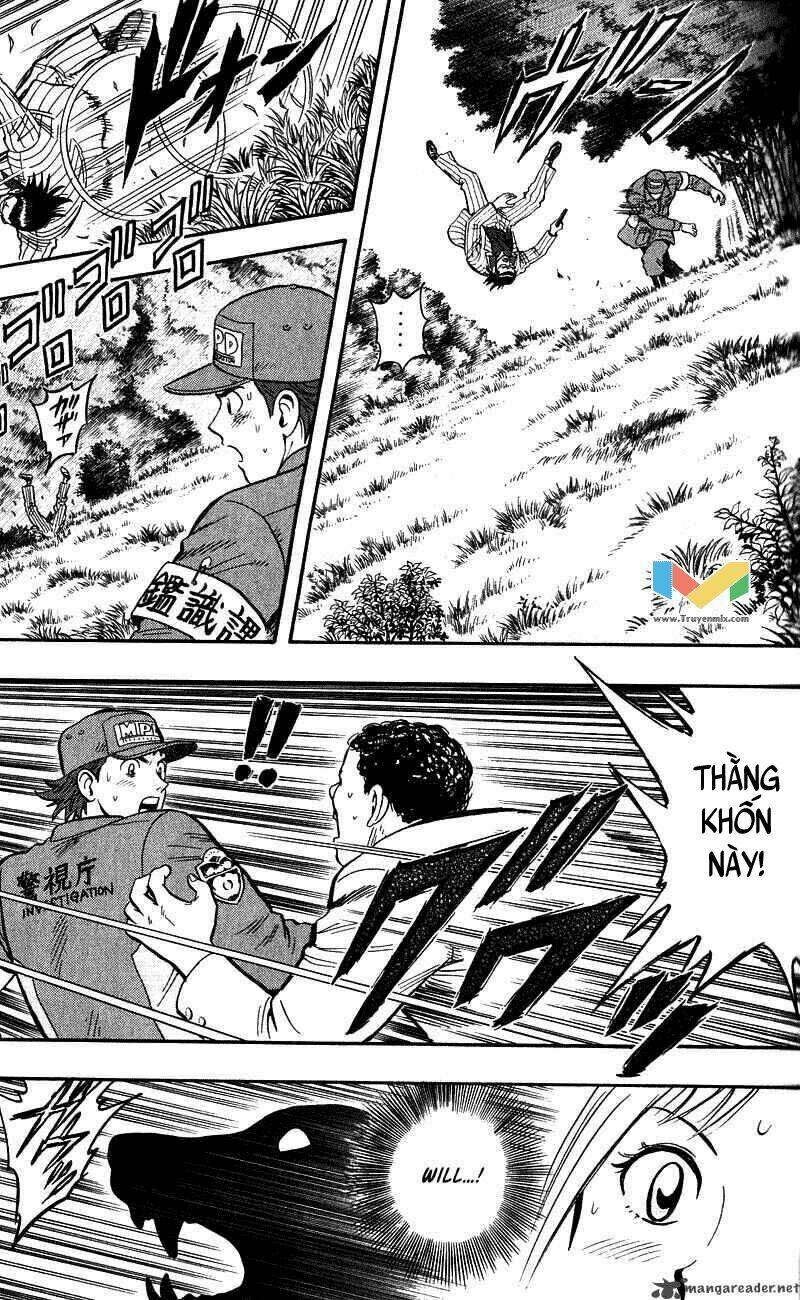 animal sense chapter 13 5