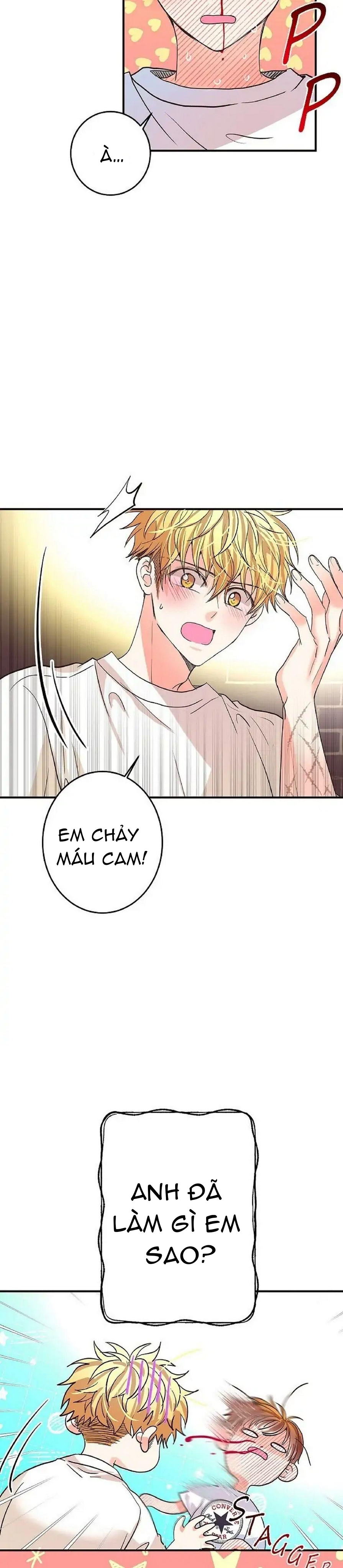 mối quan hệ phù hợp chapter 13 33