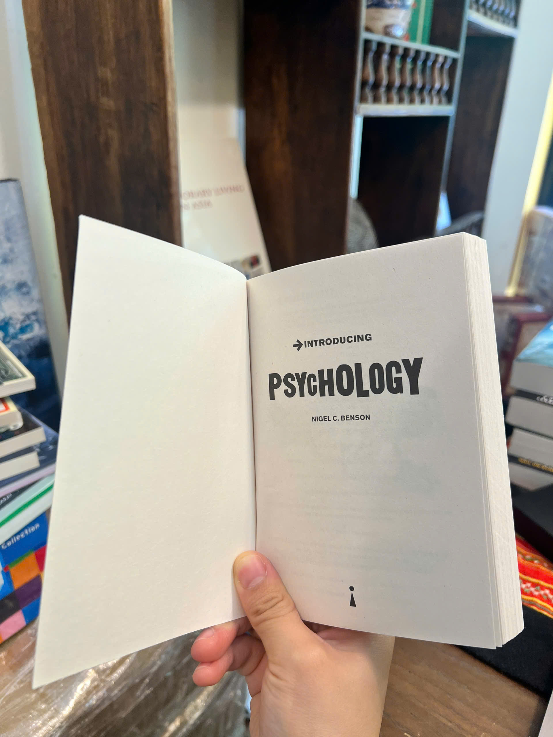 Sách - Introducing Psychology: A Graphic Guide to Your Mind & Behaviour | Ngoại văn / Tâm lý học