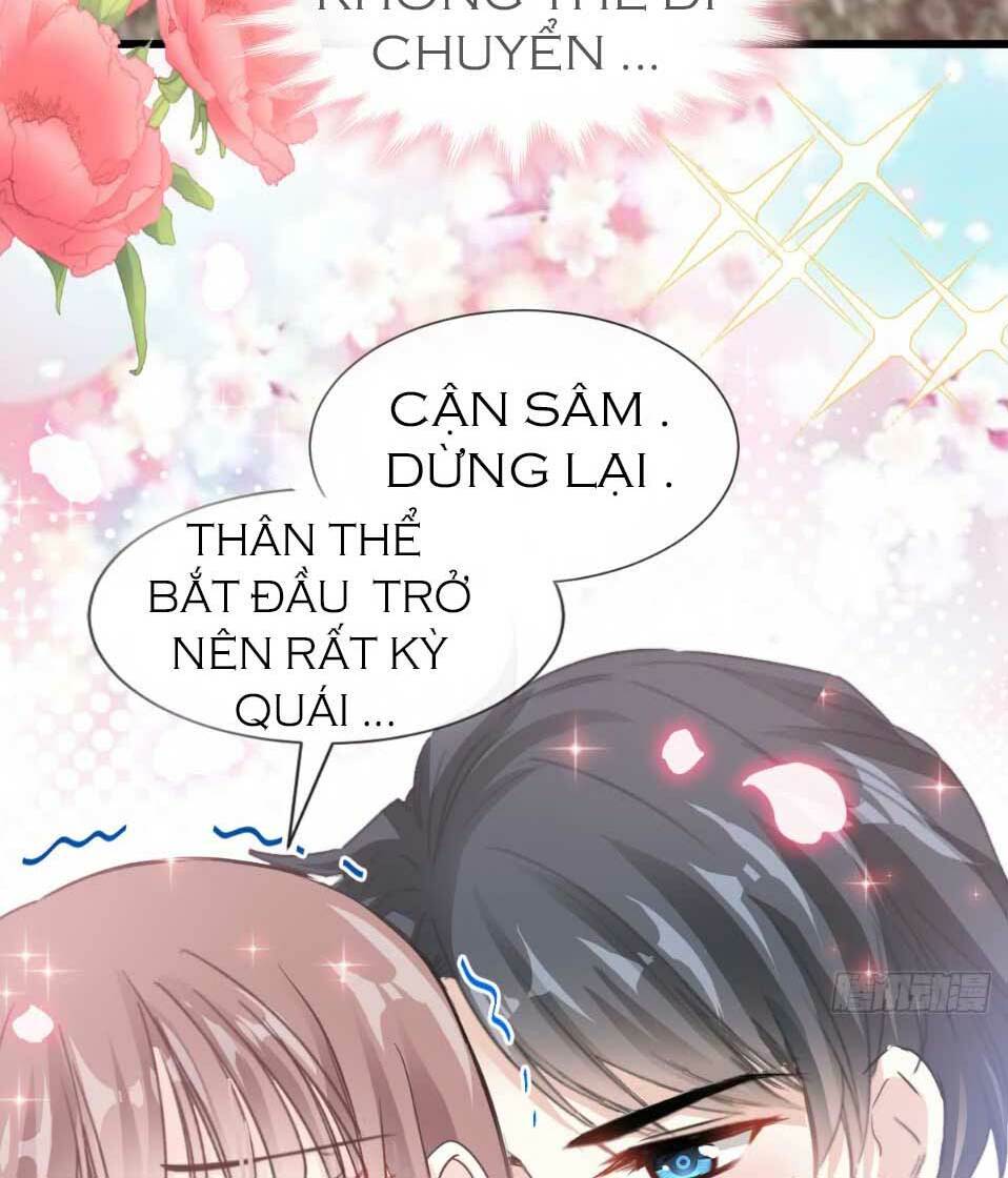 bá đạo tổng tài nhẹ nhàng yêu chapter 47.2 11