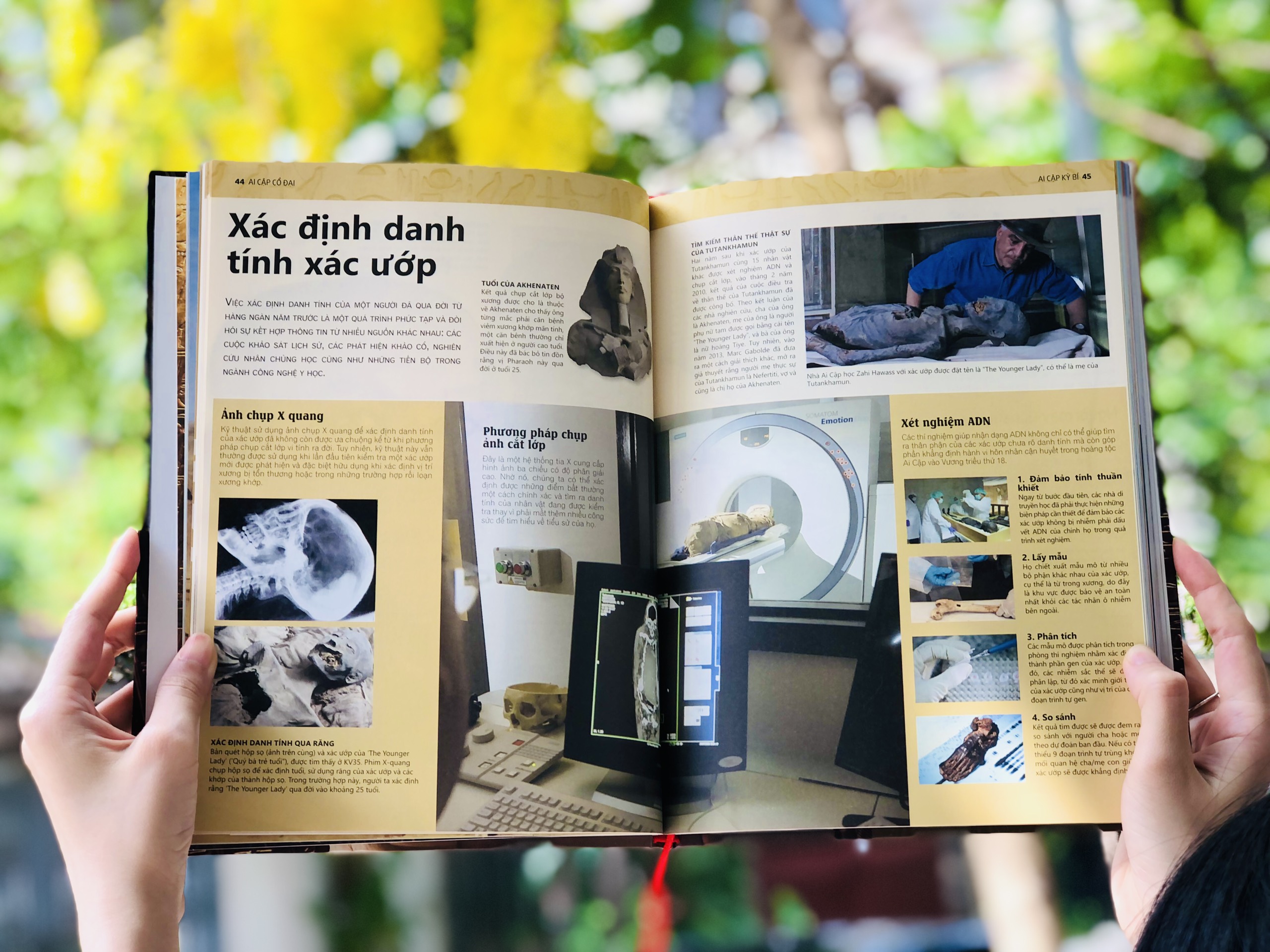 Combo sách Kỳ quan thế giới và Sách Ai cập cổ đại - Tổng hợp kiến thức bách khoa về địa lý lịch sử dành cho mọi lứa tuổi - Á Châu Books, bìa cứng in màu