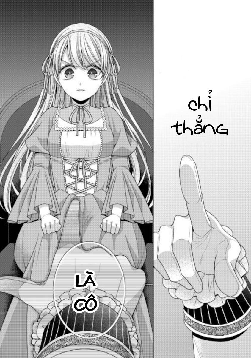 nhật ký theo dõi vị hôn thê tự nhận mình là nữ phụ phản diện 1 chapter 27 17