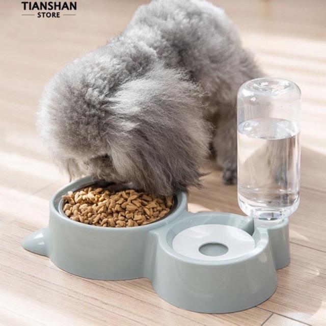 Bát ăn cao cấp kèm bình nước tự động cho chó. Mèo. Thú cưng