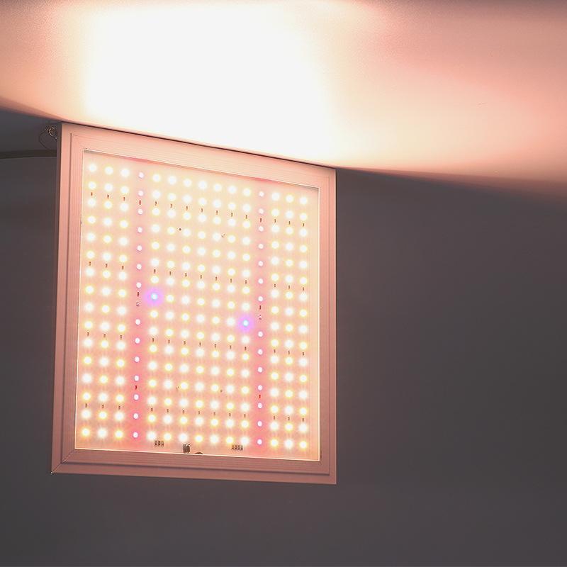 Giao hàng nhanh đèn LED công suất cao ánh sáng nhà máy bảng lượng tử toàn phổ thời gian làm mờ điều chỉnh thông minh ánh sáng lấp đầy mọng nước ánh sáng nhà máy