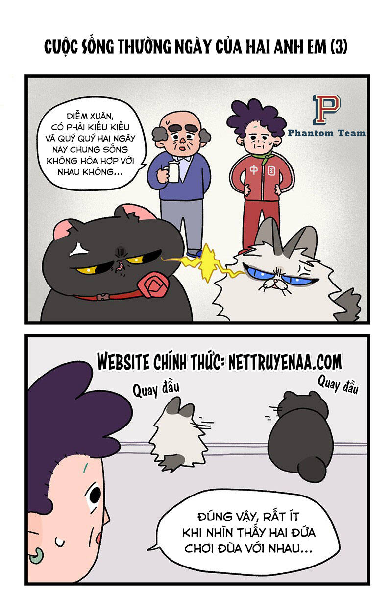 a mãn và mạch trà chapter 32 5