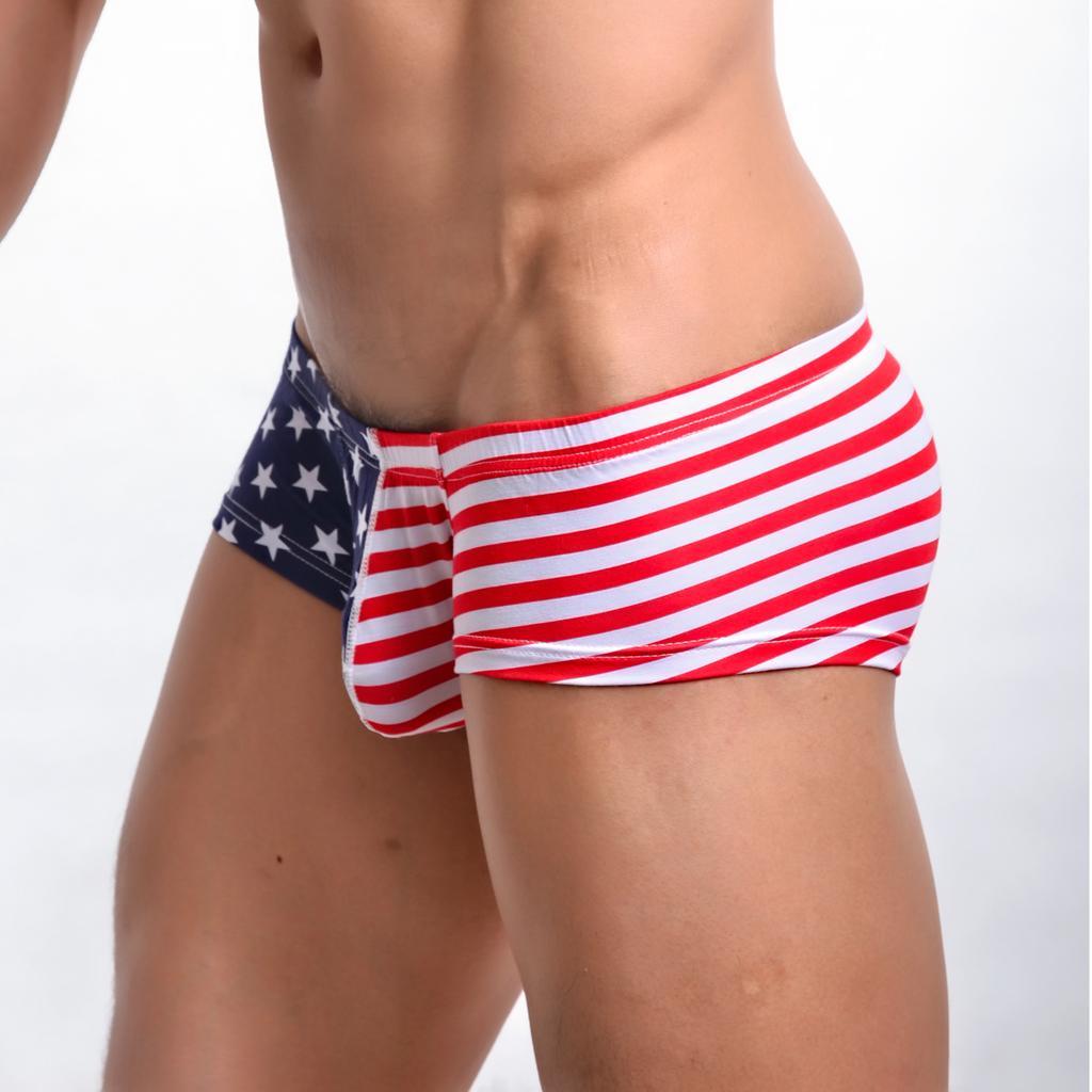 2/set Mens Stars And Stripes Thong Underwear Briefs Swim Trunks Bikini