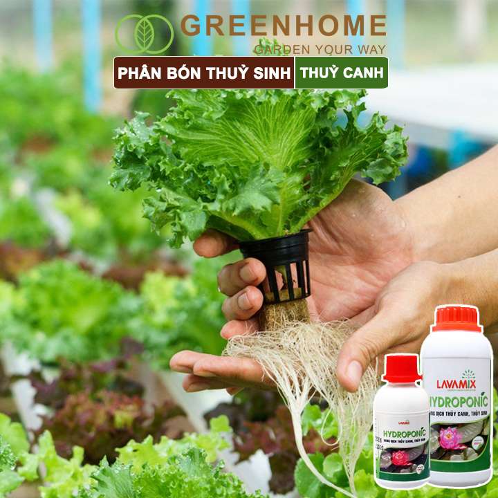 Dung dịch thủy canh Lavamix, chuyên trồng hoa sen, cây trong nước, an toàn cho cá |Greenhome