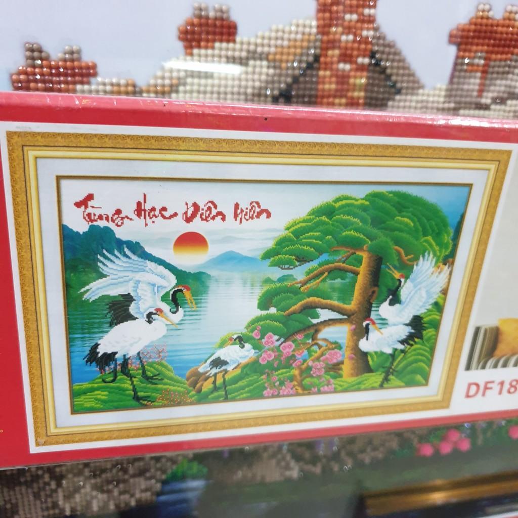 Tranh Đính Đá TÙNG HẠC DIÊN NIÊN . Kích Thước: 1m x 63cm
