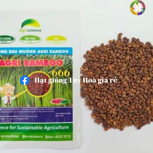 Hạt giống rau muống lá tre agri bamboo 666 siêu ngọn gói 1kg