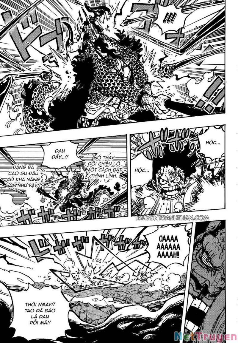 đảo hải tặc - one piece chapter 1042 5