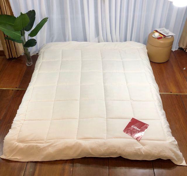 Ruột chăn Đông Osaka tiêu chuẩn khách sạn. Ruột đông 2mx2m2 dày ấm đại hàn 2.3kg