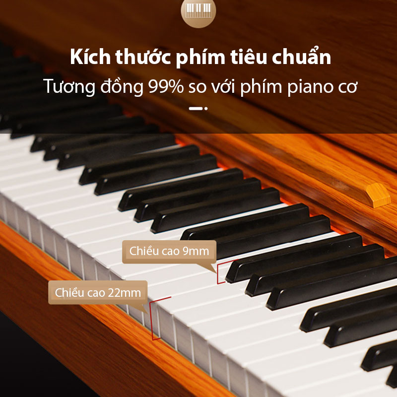 Đàn Piano Điện Tử Gỗ 88 Phím Tiêu Chuẩn Có Kèm Pedal Âm Thanh Chân Thực Có Kết Nối Cổng USB MIDI