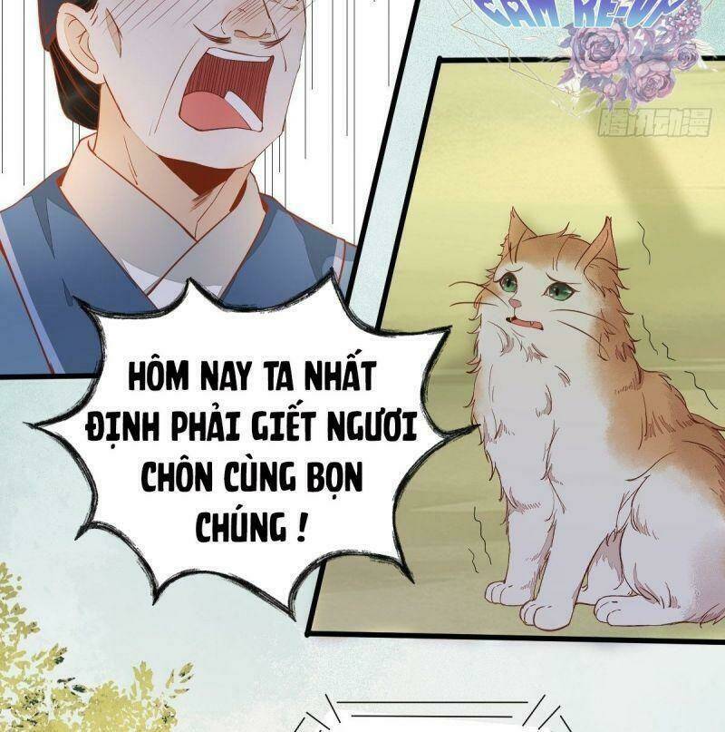 sát thủ vương phi không dễ chọc chapter 37 26